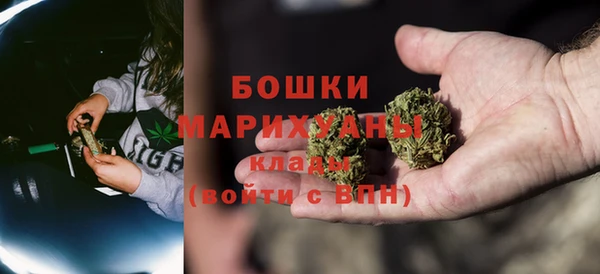 мдпв Богородицк