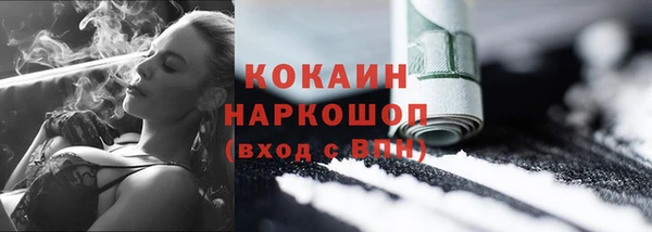 прущий лед Богданович