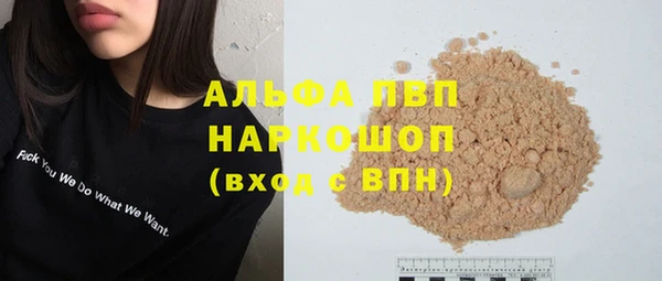 прущий лед Богданович