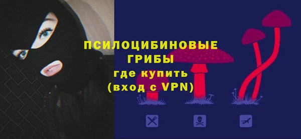 прущий лед Богданович