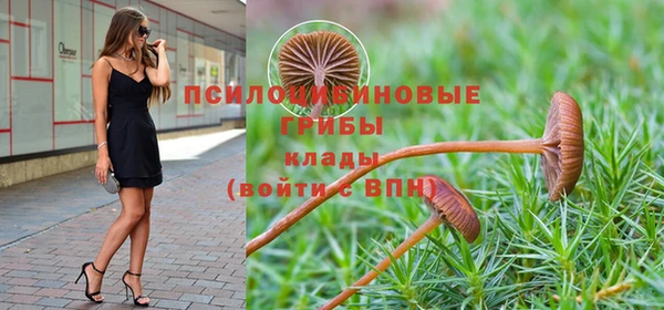 мдпв Богородицк