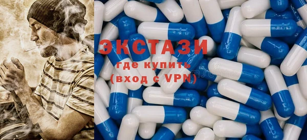 мдпв Богородицк