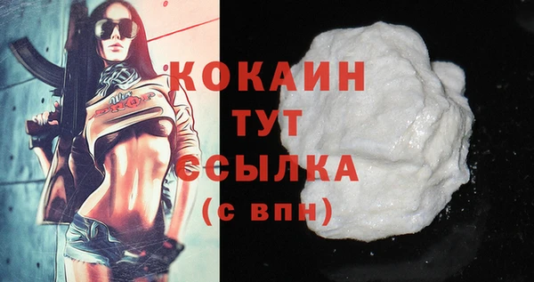 мдпв Богородицк