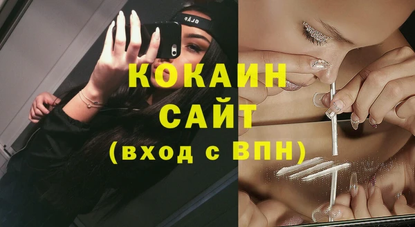 прущий лед Богданович