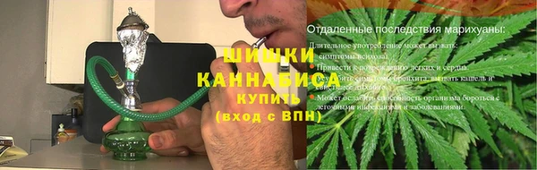 прущий лед Богданович
