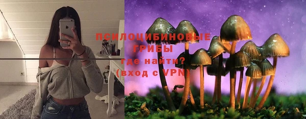 mix Богородск