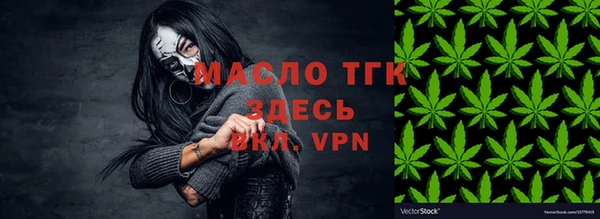 прущий лед Богданович