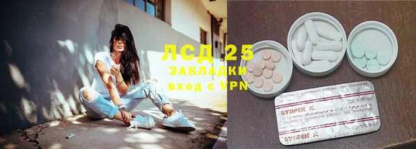 гашик Тавда