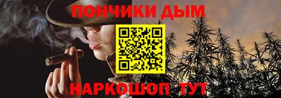 индика Усть-Илимск
