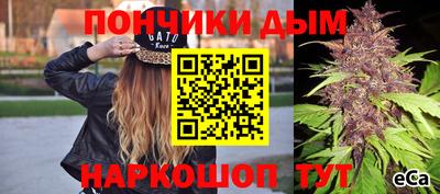индика Усть-Илимск