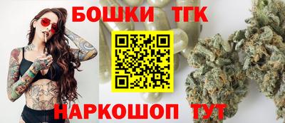 индика Усть-Илимск